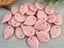 Blush Pink - Czech Apple Leaves - 18x13mm - 6pcs