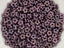 Lila Vega Luster - Czech Daisy Flower Rondelle Beads - 5x2mm - 50pcs
