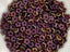 Matte Sliperit - Czech Daisy Flower Rondelle Beads - 5x2mm - 50pcs