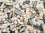 Irregular MOP/ Shell Beads - SAVE 20%