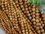 Smooth Wood Jasper -  4/6/8mm - 15" Full Strand