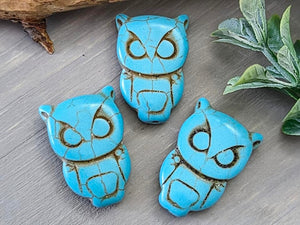 Turquoise Blue Howlite Owl - 28x20mm - 3pcs