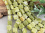 Nephrite Jade - Groove Tile Gemstones - 10mm - 7.5" Strand
