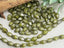 Moss Green Silver Wash - Czech Bicone - 8x6mm - 12" Strand/40pcs Loose