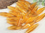 Amber - Elongated Czech Lanterns - 24x9mm - 10pcs