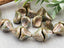 Chalk White Blue - Czech Trumpet Bell Flowers - 12x10mm - 4pcs