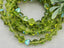 Olivine AB - Czech Crystal Bicone - 6mm - 20pcs