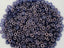 Crystal Cerulean Blue - Czech O Beads - 4mm - 5gr./Appr. 200pcs