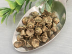 Crystal Champagne - Czech Bell Flowers - 7x5mm - 25pcs