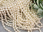 Ivory - Mini Pearl Barrel Glass Beads - 4mm - 16" Strand