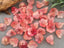 Fruit Punch - Ombre Glass Bell Flower - 10mm - 20pcs