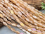 Sand - Micro Faceted Edge Marquise Cut Crystals - 8x5mm