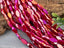 Mystic Raspberry - Micro Faceted Edge Marquise Cut Crystals - 8x5mm - 20" Strand