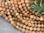 Peach Moonstone - Natural Gemstone - 6mm - 8" Strand