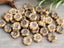 Cream Picasso - Turquoise Wash Czech Hibiscus Flower Beads - 8mm - 10pcs