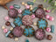 Veloura - Curated Bead Mix - 40pcs