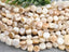 Irregular Mother Of Pearls Shell Coin Beads - 7-8mm - 7" Strand