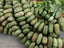 Forest Sage - Irregular Dyed Magnesite Pebble Stone - 8" Strand