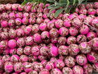 Fuchsia Mosaic - Turquoise Beads - 8mm - 7.5" Str.