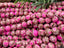 Fuchsia Mosaic - Turquoise Beads - 8mm - 7.5" Str.