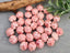 Salmon - Porcelain Ceramic Flower Beads - 12mm