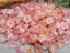 Pink Rose - Gold Splash Lucite Bell Flowers - 8x10mm - 25gr./approx 90pcs