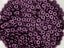 Pastel Eggplant  - Czech O Beads - 4mm - 5gr.
