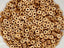 Pastel Amber - Czech O Beads - 4mm - 5gr.