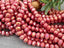 Watermelon Pink - Crystal Rondelle Beads - 6x4mm - 15" Strand