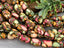 Berry Mosaic - Composite Barrel Stone Beads - 14x8mm - 10pcs
