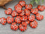 Coral Red Silver Wash - Czech Maple Leaf - 13x11mm - 10pcs