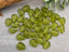 Peridot Green - Czech Mint Leaves - 10mm - 20pcs