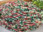 Crimson & Seafoam - Mini Crystal Rondelle Bead Mix - 2.3mm - 5 Str.