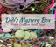 Didi's MYSTERY Grab Bag