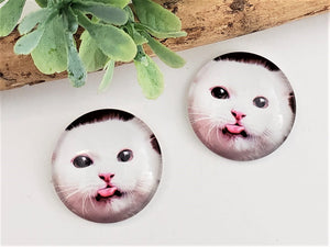 Funny Cat Glass Cabochons - 25mm - 1pc