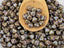 Lavender Travertine - Czech Bicone - 6mm - 25pcs