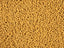 Yellow-Brown Matte - 11/0 Czech Seed Beads - Permalux #164